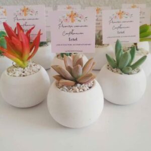 Suculenta con Macetita Blanca
